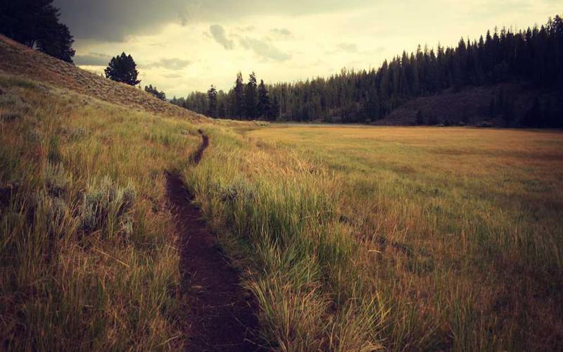 Study overseas campus 3